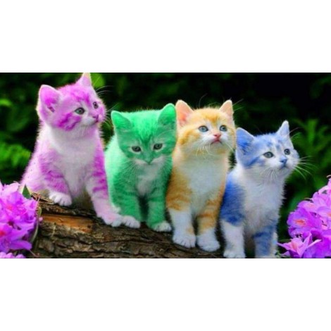 Gekleurde Katjes