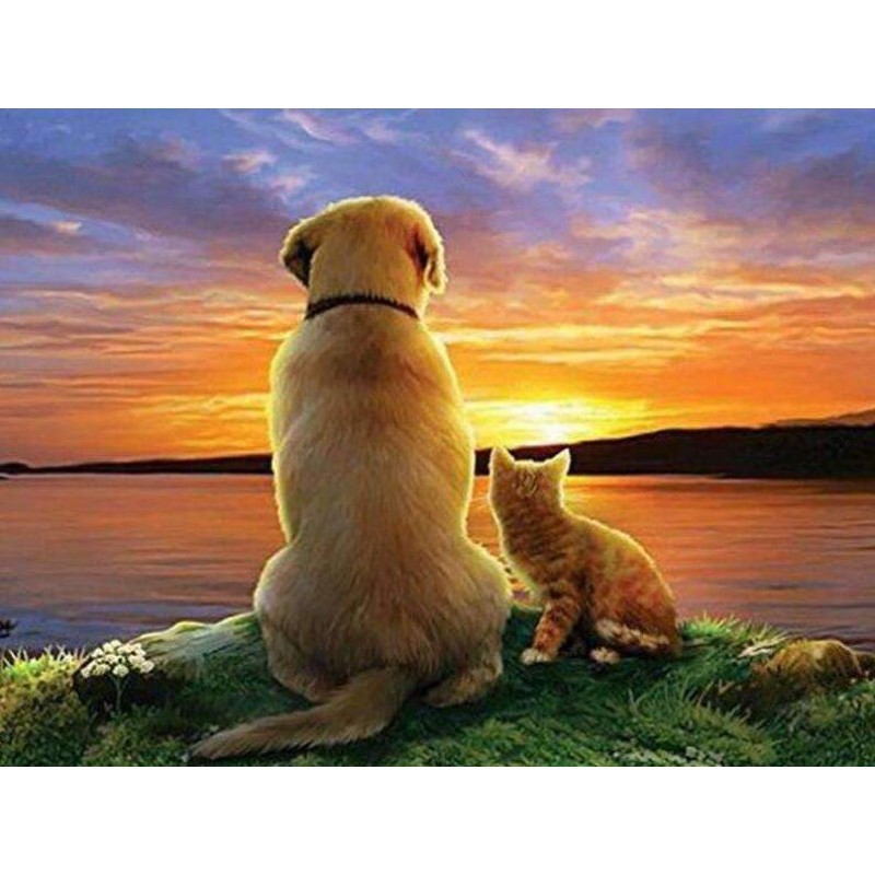 Hond en Kat bij Zons...