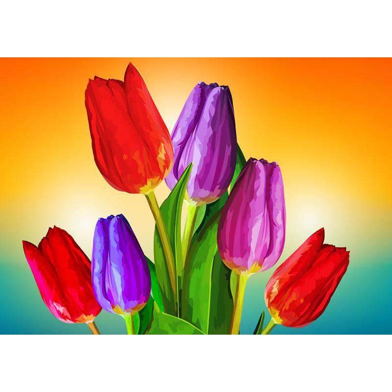 Tulpen
