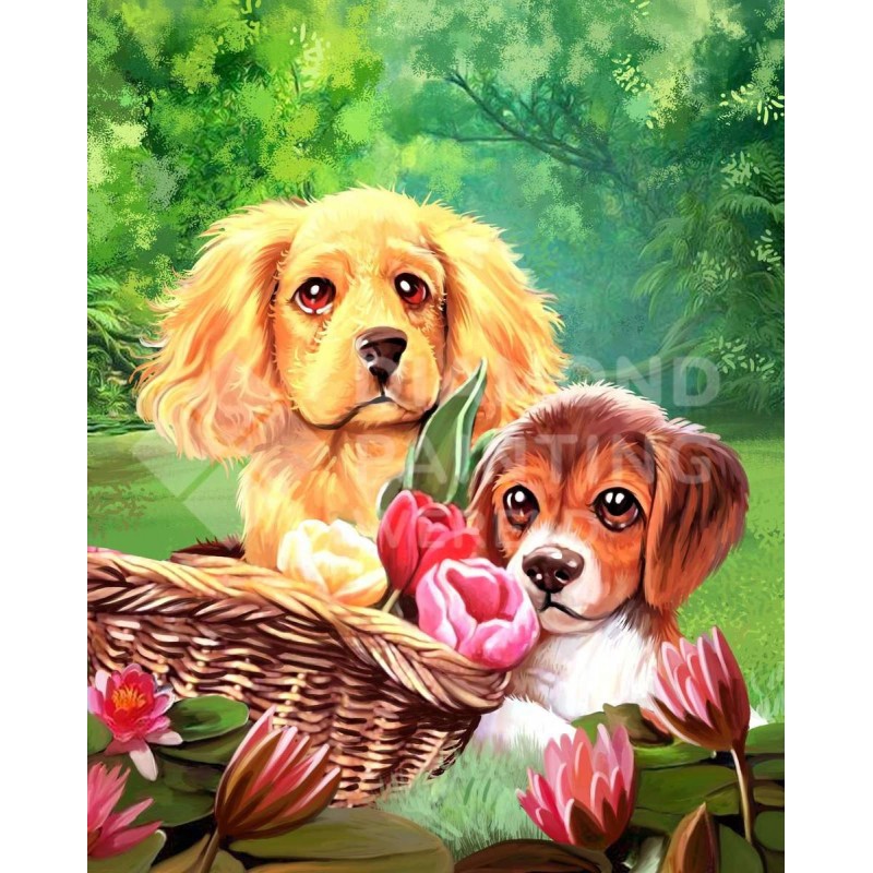 Puppy Vriendjes | Ex...