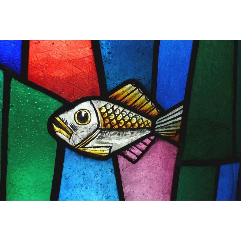 Vis in de zee van Kl...