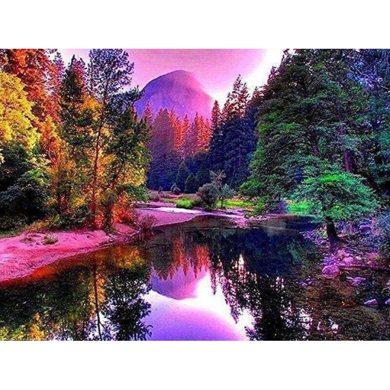 Kleurrijk Bos met Me...