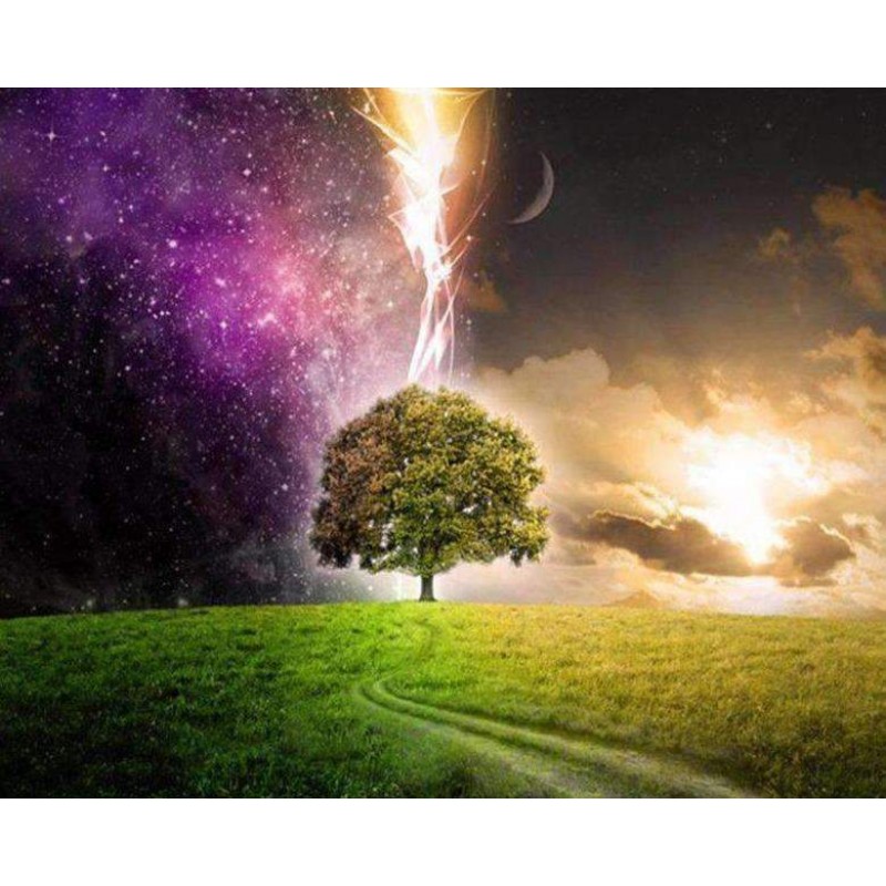 Boom Verschillende S...