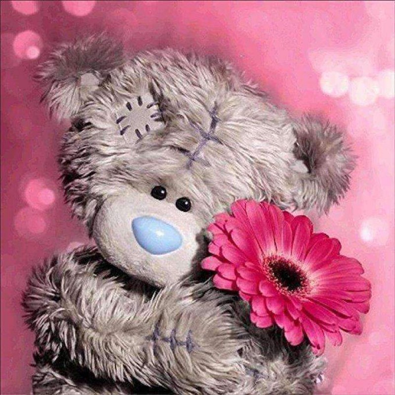 Beertje met Bloem