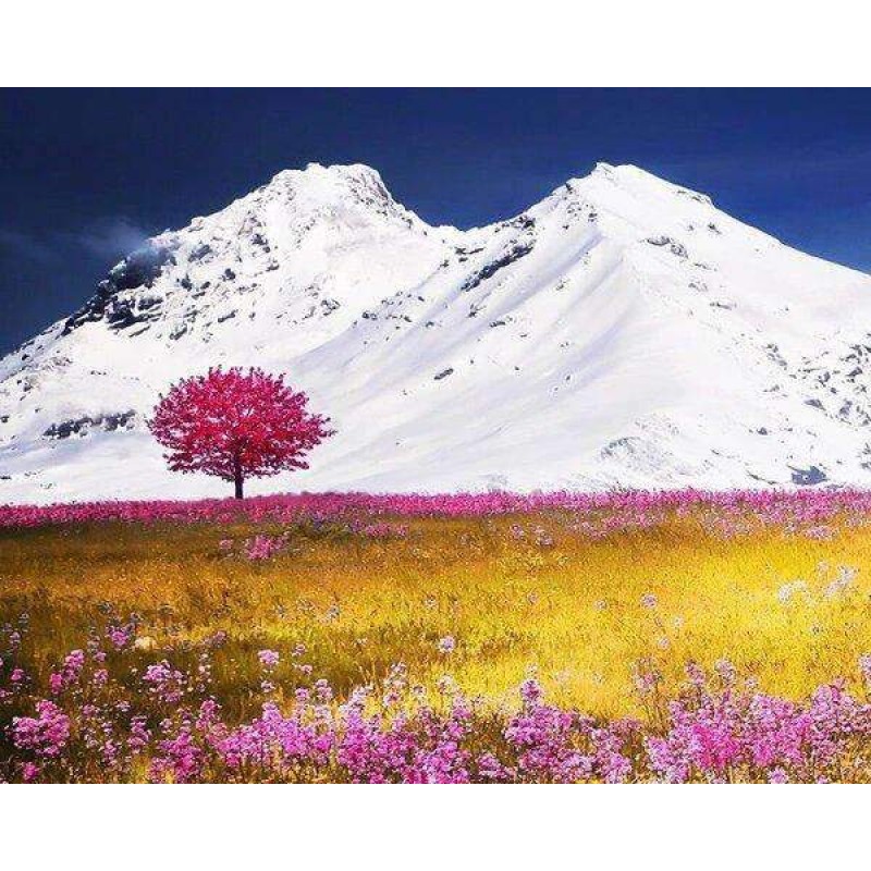 Witte Bergen Roze Bo...